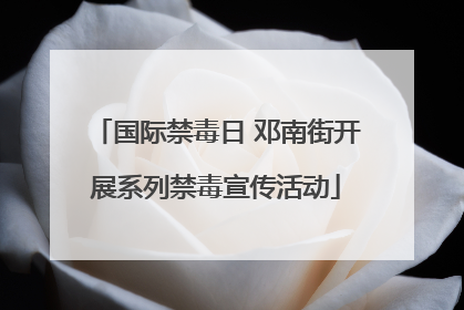 国际禁毒日 邓南街开展系列禁毒宣传活动