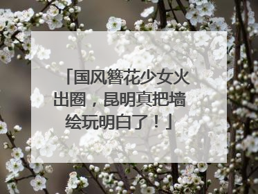国风簪花少女火出圈，昆明真把墙绘玩明白了！