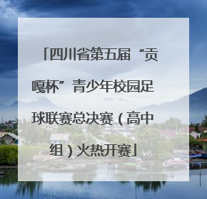四川省第五届“贡嘎杯”青少年校园足球联赛总决赛（高中组）火热开赛