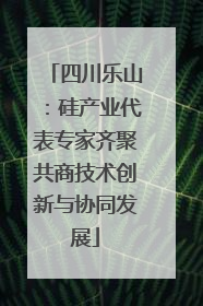 四川乐山：硅产业代表专家齐聚共商技术创新与协同发展