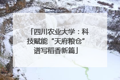 四川农业大学：科技赋能“天府粮仓”谱写稻香新篇