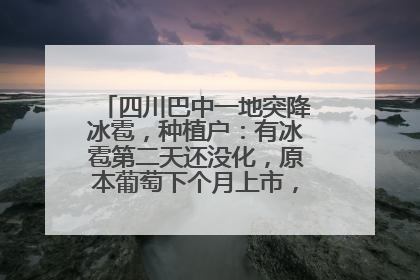 四川巴中一地突降冰雹，种植户：有冰雹第二天还没化，原本葡萄下个月上市，现在全被打落