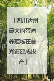 四川达州最大的蛋鸡养殖场在普光镇建成投产