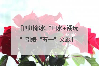 四川邻水“山水+潮玩”引爆“五一”文旅