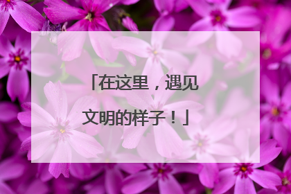 在这里，遇见文明的样子！