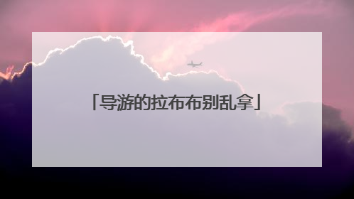 导游的拉布布别乱拿