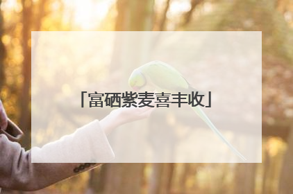 富硒紫麦喜丰收