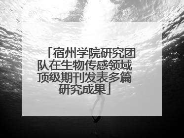 宿州学院研究团队在生物传感领域顶级期刊发表多篇研究成果
