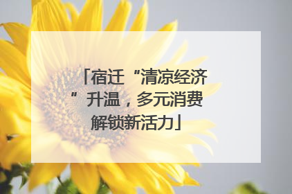 宿迁“清凉经济”升温，多元消费解锁新活力