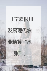 宁夏银川发展现代农业精算“水账”