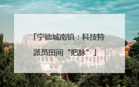 宁德城南镇：科技特派员田间“把脉”