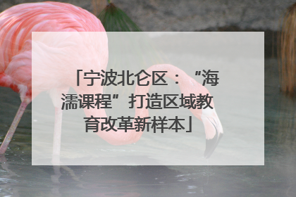 宁波北仑区：“海濡课程”打造区域教育改革新样本