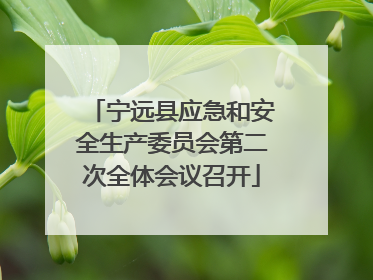 宁远县应急和安全生产委员会第二次全体会议召开