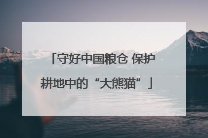 守好中国粮仓 保护耕地中的“大熊猫”