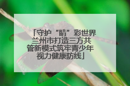 守护“睛”彩世界 兰州市打造三方共管新模式筑牢青少年视力健康防线