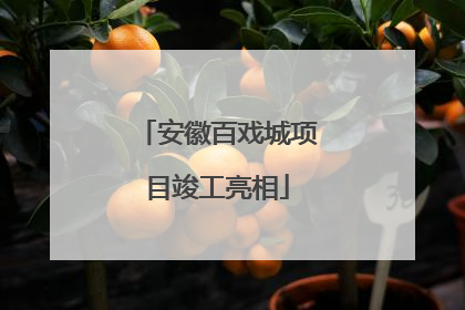 安徽百戏城项目竣工亮相
