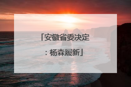 安徽省委决定：杨森履新