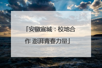 安徽宣城：校地合作 澎湃青春力量