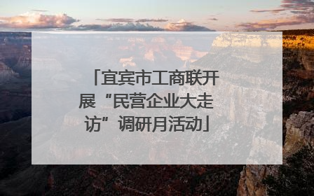 宜宾市工商联开展“民营企业大走访”调研月活动