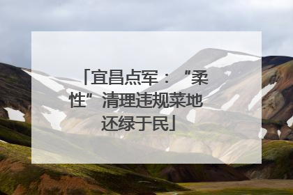 宜昌点军：“柔性”清理违规菜地 还绿于民