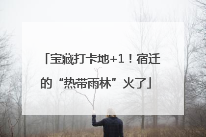 宝藏打卡地+1！宿迁的“热带雨林”火了