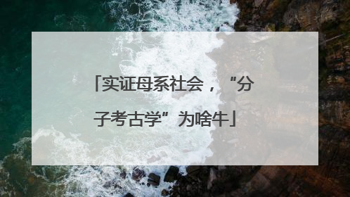 实证母系社会，“分子考古学”为啥牛