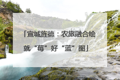 宣城旌德：农旅融合绘就“莓”好“蓝”图