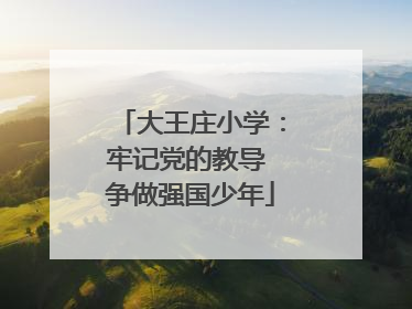 大王庄小学：牢记党的教导 争做强国少年