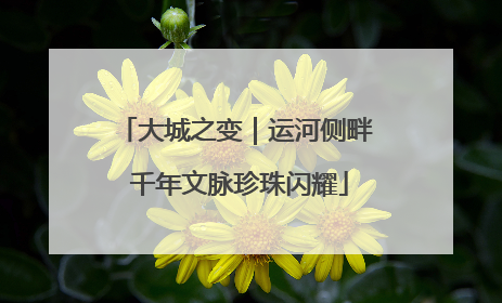 大城之变｜运河侧畔 千年文脉珍珠闪耀