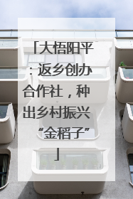 大悟阳平：返乡创办合作社，种出乡村振兴“金稻子”