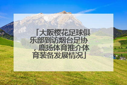大阪樱花足球俱乐部到访烟台足协，鹿扬体育推介体育装备发展情况