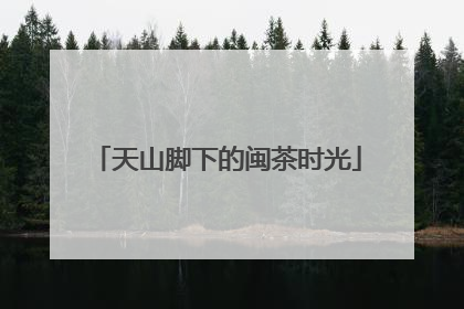 天山脚下的闽茶时光