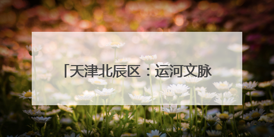 天津北辰区：运河文脉滋养 多元文化绽放