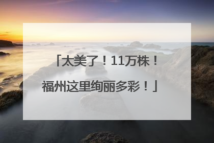 太美了！11万株！福州这里绚丽多彩！