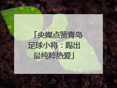 央媒点赞青岛足球小将：踢出最纯粹热爱
