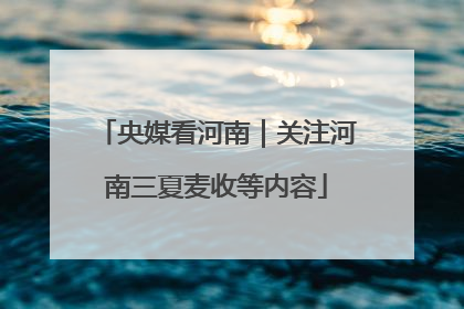 央媒看河南｜关注河南三夏麦收等内容