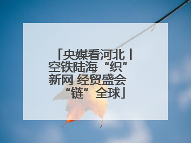 央媒看河北丨空铁陆海“织”新网 经贸盛会“链”全球