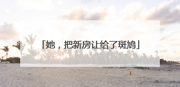 她，把新房让给了斑鸠