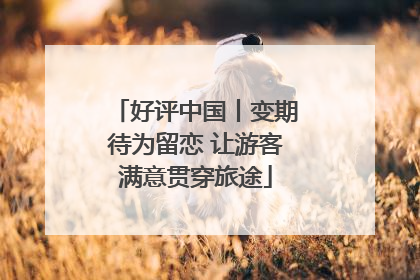 好评中国丨变期待为留恋 让游客满意贯穿旅途