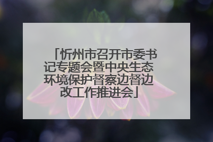 忻州市召开市委书记专题会暨中央生态环境保护督察边督边改工作推进会