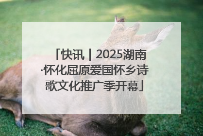快讯｜2025湖南·怀化屈原爱国怀乡诗歌文化推广季开幕
