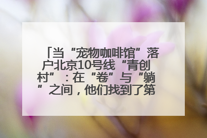 当“宠物咖啡馆”落户北京10号线“青创村”：在“卷”与“躺”之间，他们找到了第三种生活公式