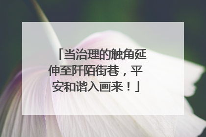 当治理的触角延伸至阡陌街巷，平安和谐入画来！