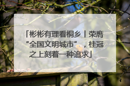 彬彬有理看桐乡丨荣膺“全国文明城市”，桂冠之上刻着一种追求