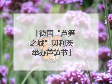 德国“芦笋之城”贝利茨举办芦笋节