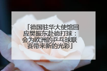 德国驻华大使馆回应樊振东赴德打球：会为欧洲的乒乓球联赛带来新的光彩