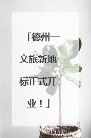 德州一文旅新地标正式开业！