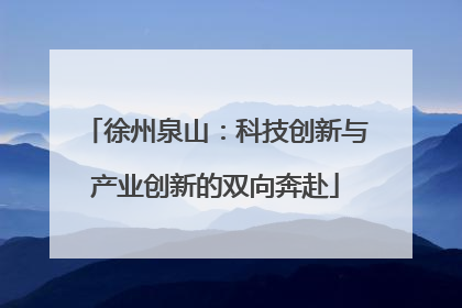 徐州泉山：科技创新与产业创新的双向奔赴