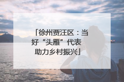 徐州贾汪区：当好“头雁”代表 助力乡村振兴