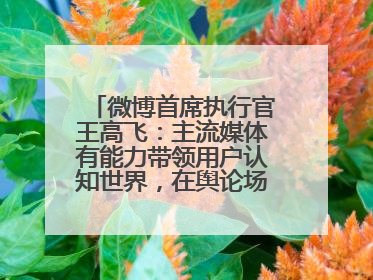 微博首席执行官王高飞：主流媒体有能力带领用户认知世界，在舆论场中搭建理性的讨论空间